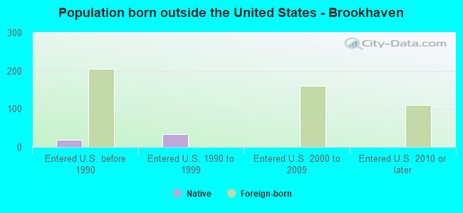 Population born outside the United States - Brookhaven