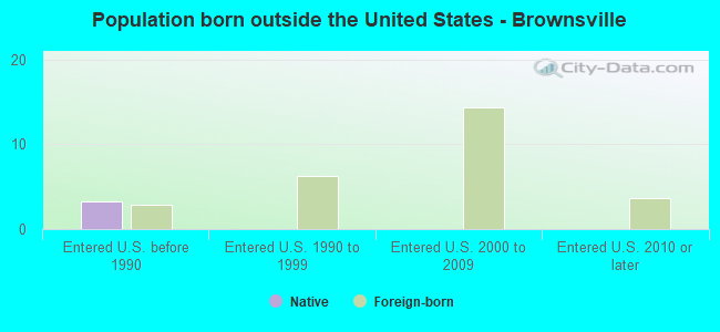 Population born outside the United States - Brownsville