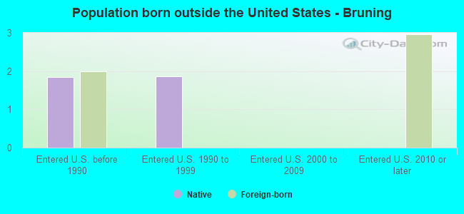 Population born outside the United States - Bruning