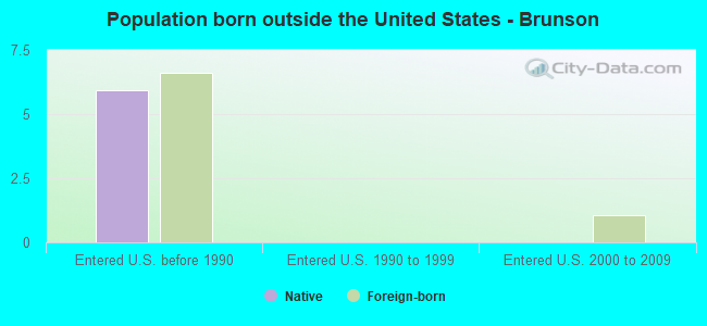 Population born outside the United States - Brunson