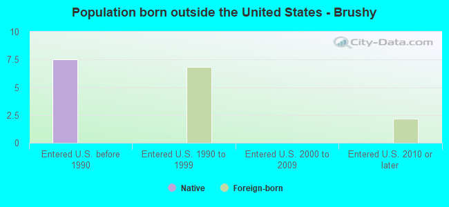 Population born outside the United States - Brushy