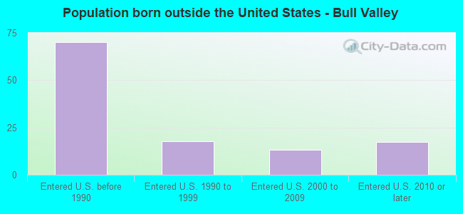 Population born outside the United States - Bull Valley