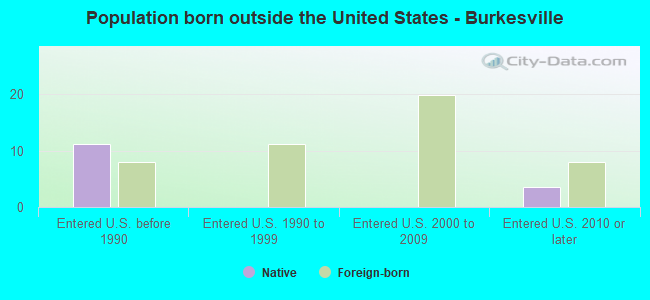 Population born outside the United States - Burkesville