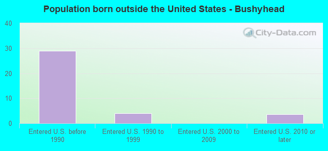 Population born outside the United States - Bushyhead