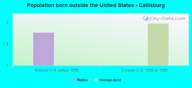 Population born outside the United States - Callisburg