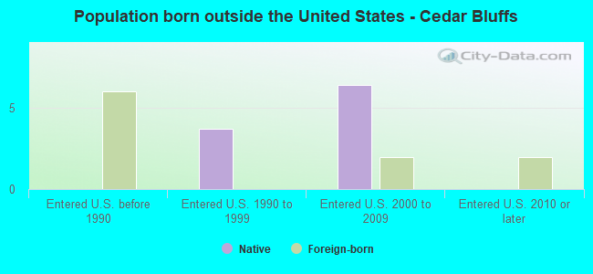 Population born outside the United States - Cedar Bluffs