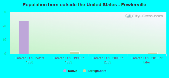 Population born outside the United States - Fowlerville