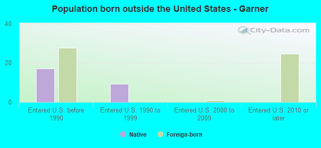 Population born outside the United States - Garner