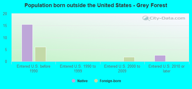 Population born outside the United States - Grey Forest