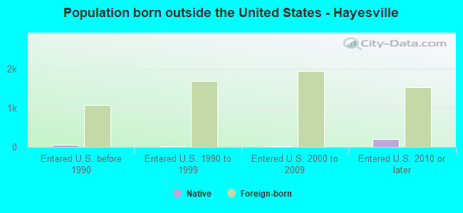 Population born outside the United States - Hayesville