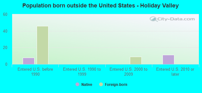 Population born outside the United States - Holiday Valley