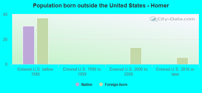 Population born outside the United States - Homer