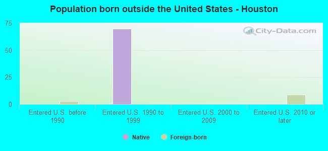 Population born outside the United States - Houston