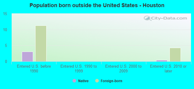 Population born outside the United States - Houston