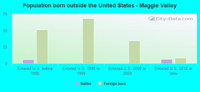 Population born outside the United States - Maggie Valley