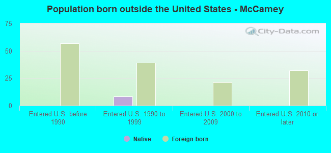 Population born outside the United States - McCamey