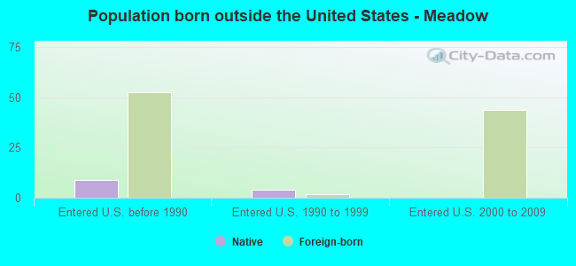 Population born outside the United States - Meadow