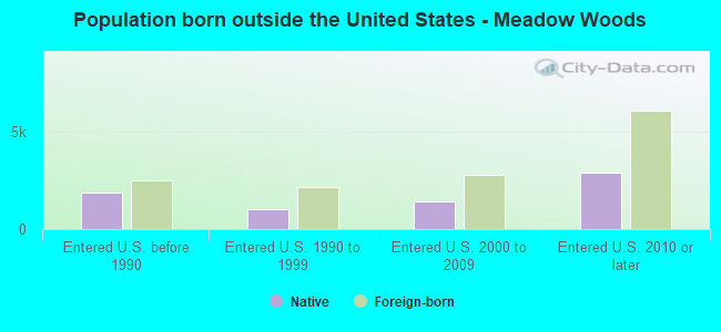Population born outside the United States - Meadow Woods