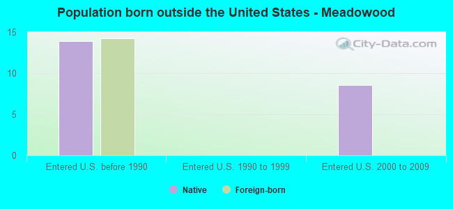Population born outside the United States - Meadowood