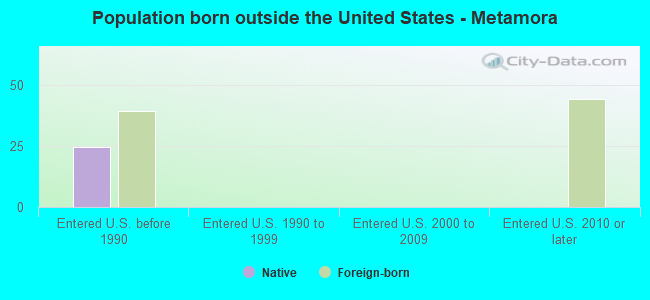 Population born outside the United States - Metamora