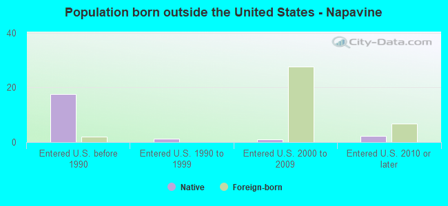 Population born outside the United States - Napavine