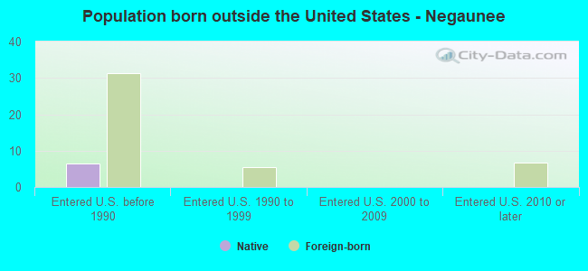 Population born outside the United States - Negaunee
