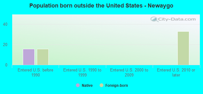 Population born outside the United States - Newaygo