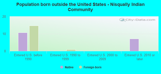 Population born outside the United States - Nisqually Indian Community