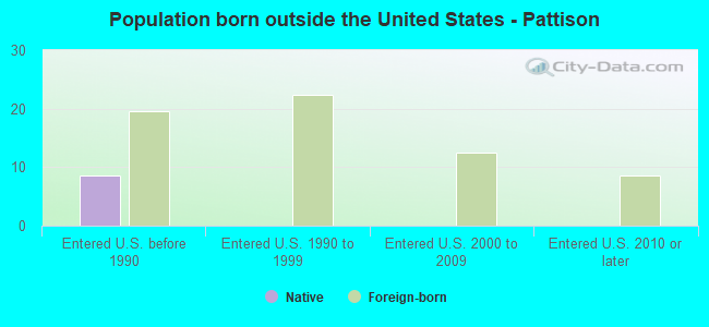Population born outside the United States - Pattison