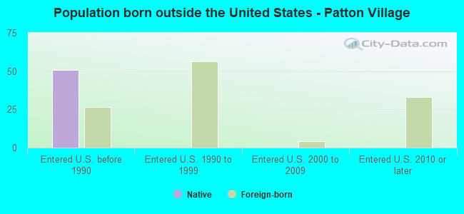 Population born outside the United States - Patton Village