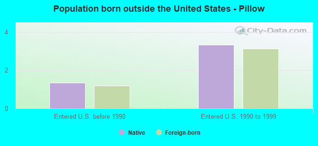 Population born outside the United States - Pillow