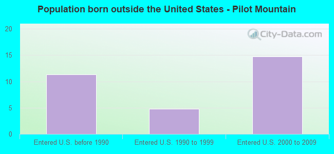 Population born outside the United States - Pilot Mountain