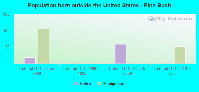 Population born outside the United States - Pine Bush