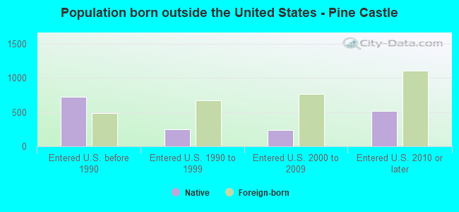 Population born outside the United States - Pine Castle