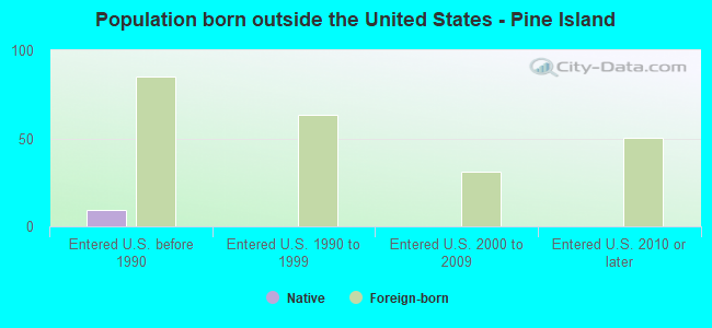 Population born outside the United States - Pine Island