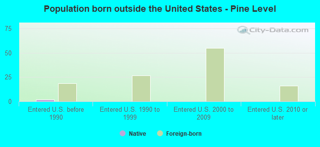 Population born outside the United States - Pine Level