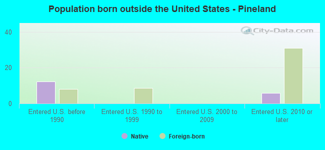 Population born outside the United States - Pineland