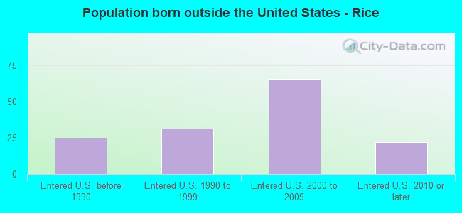 Population born outside the United States - Rice