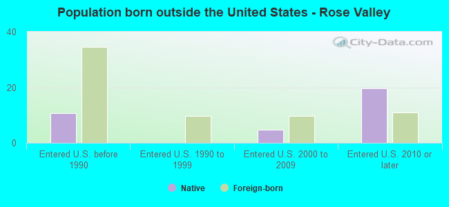 Population born outside the United States - Rose Valley