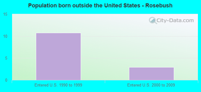 Population born outside the United States - Rosebush