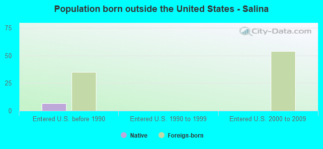Population born outside the United States - Salina