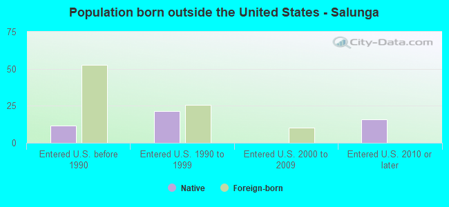Population born outside the United States - Salunga