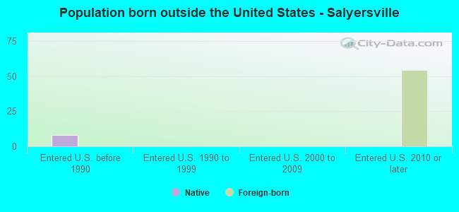 Population born outside the United States - Salyersville
