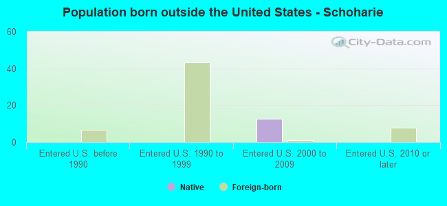 Population born outside the United States - Schoharie