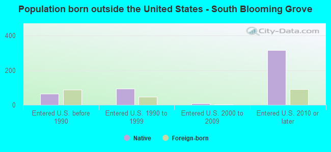 Population born outside the United States - South Blooming Grove