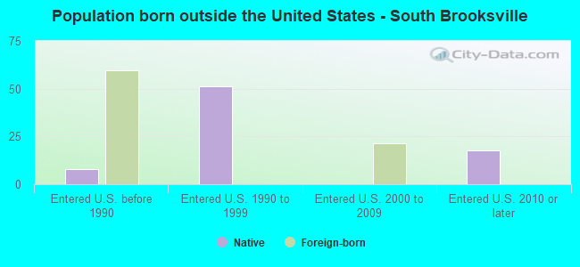 Population born outside the United States - South Brooksville