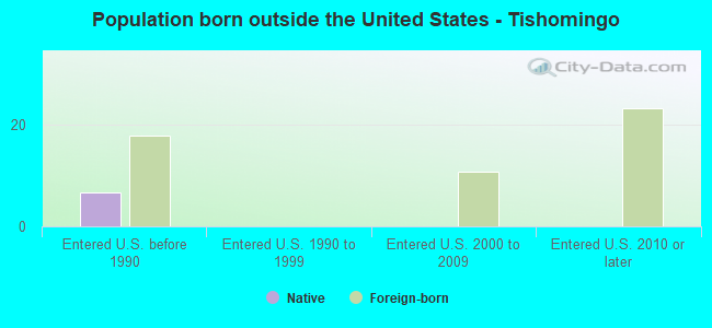 Population born outside the United States - Tishomingo
