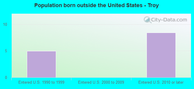 Population born outside the United States - Troy