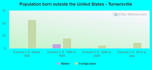 Population born outside the United States - Turnersville
