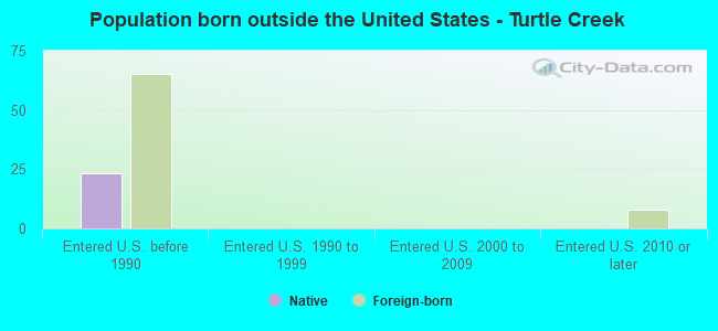 Population born outside the United States - Turtle Creek